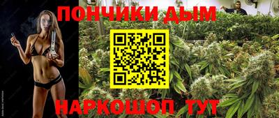 МДПВ Моздок