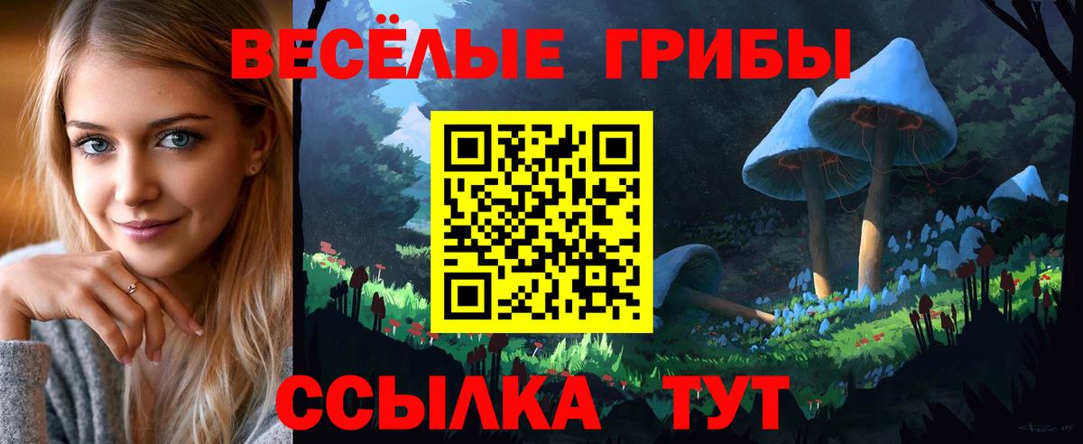 Галлюциногенные грибы MAGIC MUSHROOMS  Вход с VPN  Азов 